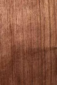 The Phillips Forest Store Bubinga 1x8x9