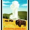 The Forest Store Yellowstone -Live Edge Wood Slabs Sales Store Fifty Nine Parks Print Series Yellowstone National Park Brave the Woods 1200x fe20c7a4 0b02 473f b538 5c0e2cbeebcb 1024x1024@2x