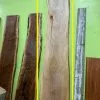 The Phillips Forest Store Live Edge Sycamore Slab 2 The Phillips Forest Store Live Edge Sycamore Slab -Live Edge Wood Slabs Sales Store Liveedgewoodslab 21 1024x1024@2x