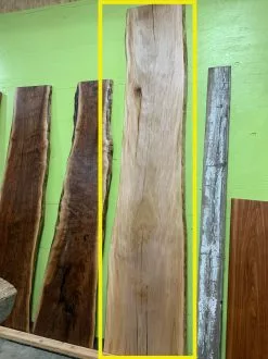 The Phillips Forest Store Live Edge Sycamore Slab