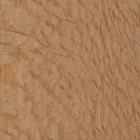 The Phillips Forest Store Lacewood