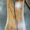 The Phillips Forest Store Live Edge Red River Pecan -Live Edge Wood Slabs Sales Store image 1c5a173a a94b 4824 974a 26caf9816a2d 1024x1024@2x