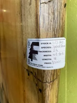 The Phillips Forest Store Live Edge Pecan Slab 7 The Phillips Forest Store Live Edge Pecan Slab -Live Edge Wood Slabs Sales Store image 213f98ce 89a7 4b40 b64e 37a2c40d26cb 1024x1024@2x