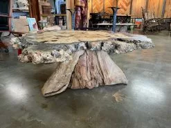 The Phillips Forest Store Buckeye Burl Coffee Table