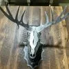 The Phillips Forest Store Metal Deer Head Mount