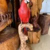 The Phillips Forest Store Wood Art Sculpture Parrot -Live Edge Wood Slabs Sales Store image 69617732 6b5d 4119 884a d398a6146370 1024x1024@2x