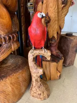 The Phillips Forest Store Wood Art Sculpture Parrot
