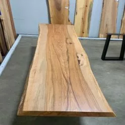 The Phillips Forest Store Live Edge Pecan Slab 9 The Phillips Forest Store Live Edge Pecan Slab -Live Edge Wood Slabs Sales Store image 75c1fa17 ecbb 4bef be46 f4553bbc098b 1024x1024@2x