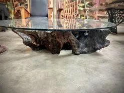 The Phillips Forest Store Glass Coffee Table With Wooden Base -Live Edge Wood Slabs Sales Store image 826c9043 868c 49af 9894 0a01cdeda804 1024x1024@2x