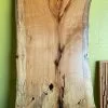 The Phillips Forest Store Live Edge Pecan Slab -Live Edge Wood Slabs Sales Store image 89a176ae ed0a 45b4 9da8 94f4fa7182c8 1024x1024@2x