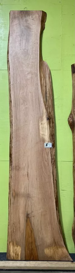 The Phillips Forest Store Live Edge Pecan Slab