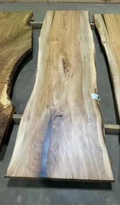 The Phillips Forest Store Live Edge Sycamore Slab