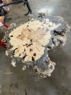 The Phillips Forest Store Buckeye Burl Coffee Table -Live Edge Wood Slabs Sales Store image bdedae37 bbd3 4a4c 991e c062284c4ecc 1024x1024@2x