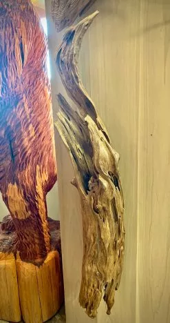 The Phillips Forest Store Louisiana Cypress Sconce HG001