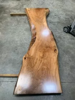 The Phillips Forest Store Live Edge Sycamore Slab