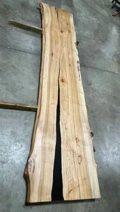 The Phillips Forest Store Live Edge Pecan Slab