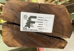 The Phillips Forest Store Live Edge Walnut Fireplace Mantel -Live Edge Wood Slabs Sales Store image ed7f3fdf 956f 4ea1 85ff 814e2dffea52 1024x1024@2x