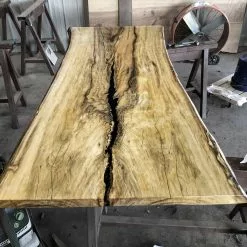 The Phillips Forest Store Live Edge Cottonwood Slab