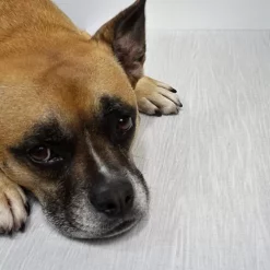 Greatmats LonMoire Topseal Vinyl Rolls 6 X 60 Ft 24 Greatmats LonMoire Topseal Vinyl Rolls 6 X 60 Ft -Live Edge Wood Slabs Sales Store lonmoire topseal install 9.jpg