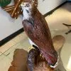 The Phillips Forest Store Hand Carved Wooden Falcon. -Live Edge Wood Slabs Sales Store woodartfalcon 1024x1024@2x