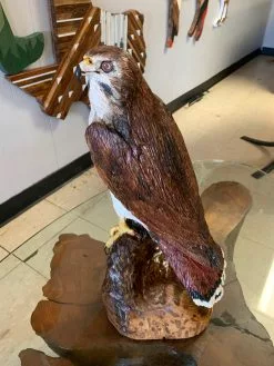 The Phillips Forest Store Hand Carved Wooden Falcon.