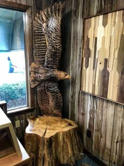 The Phillips Forest Store Hand Carved Wooden Eagle